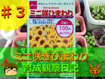 Thumbnail of post image 055